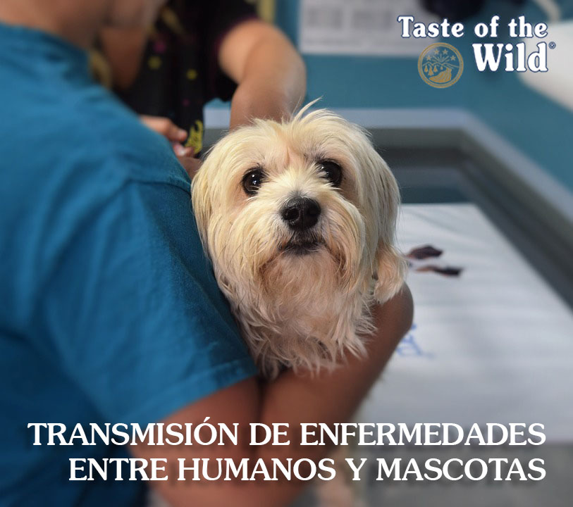 Transmisión enfermedades humanos mascotas - Taste of the Wild España